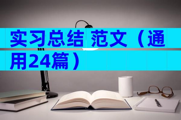 实习总结 范文（通用24篇）